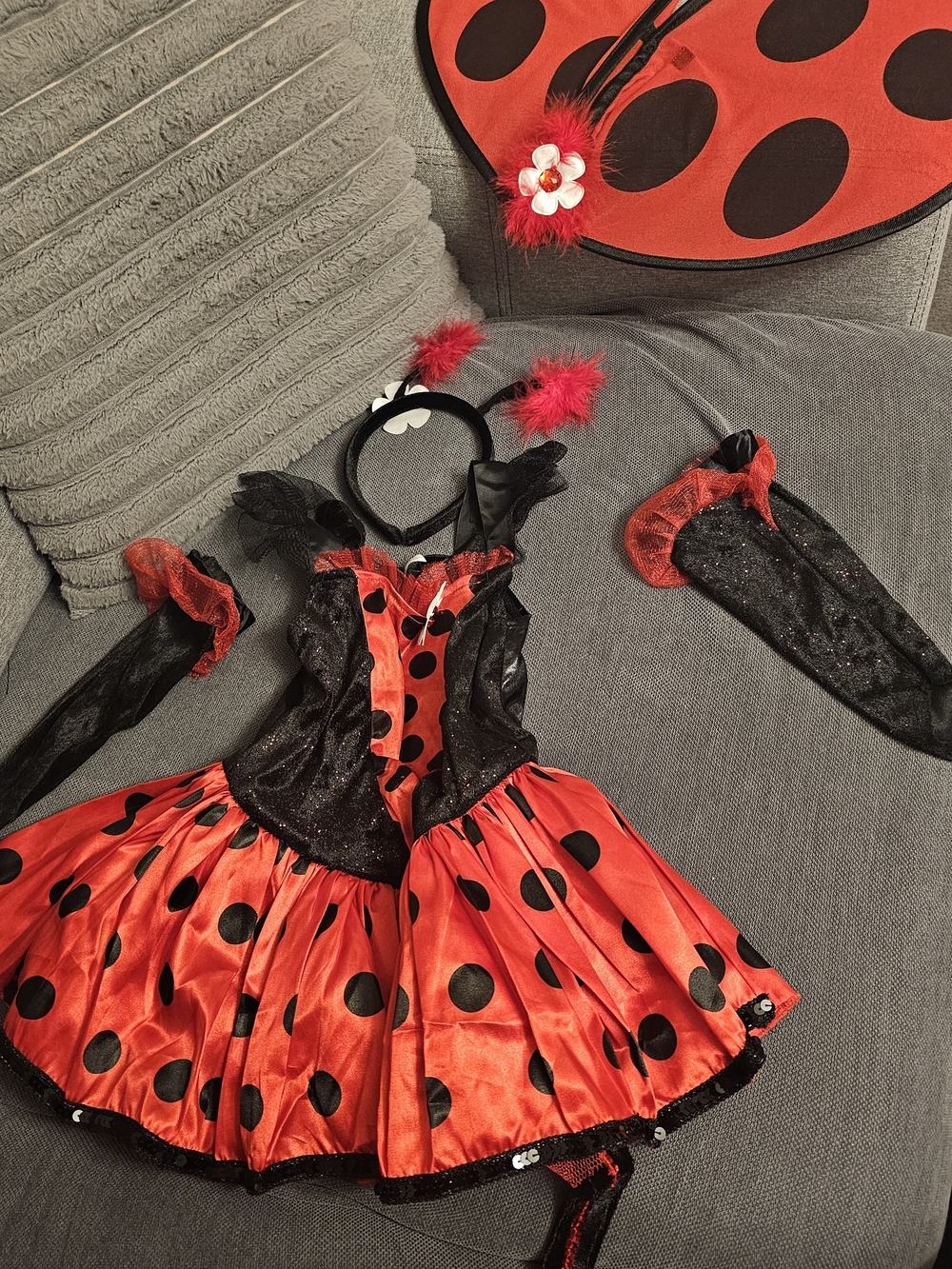 Kids Ladybug Costume Dress Set in Red and Black